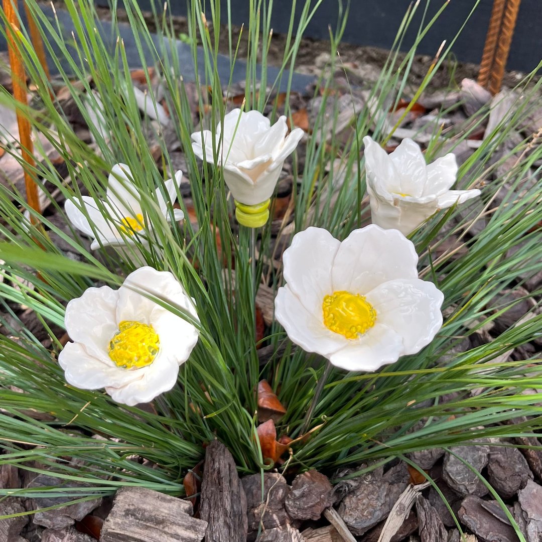 Ceramic White Flowers | Box Of 5