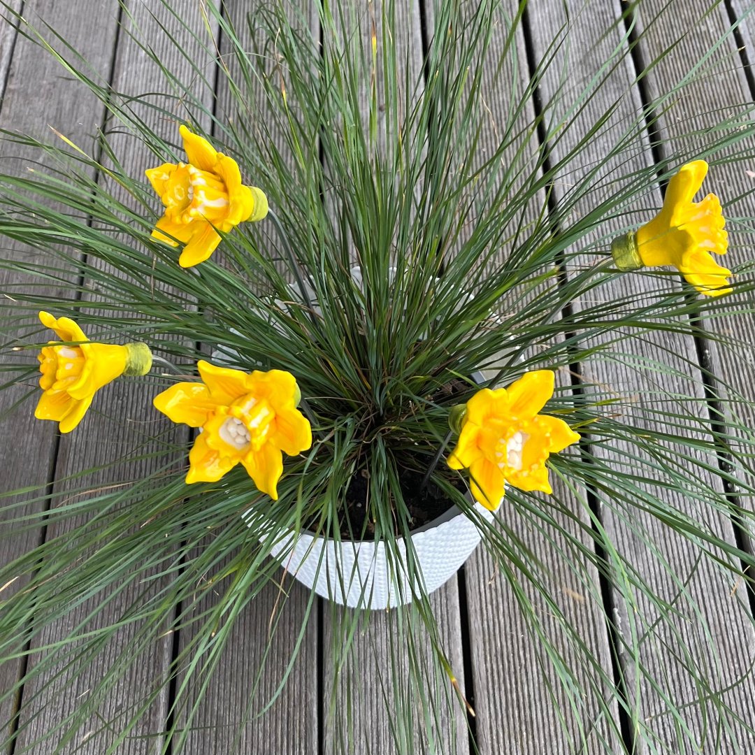 Ceramic Daffodils  | Box Of 5