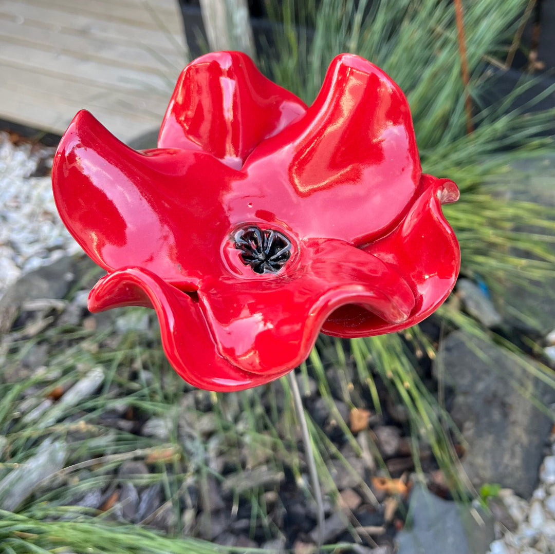 Red Poppy Garden Rod | Click & Collect Or Delivery By Arrangement
