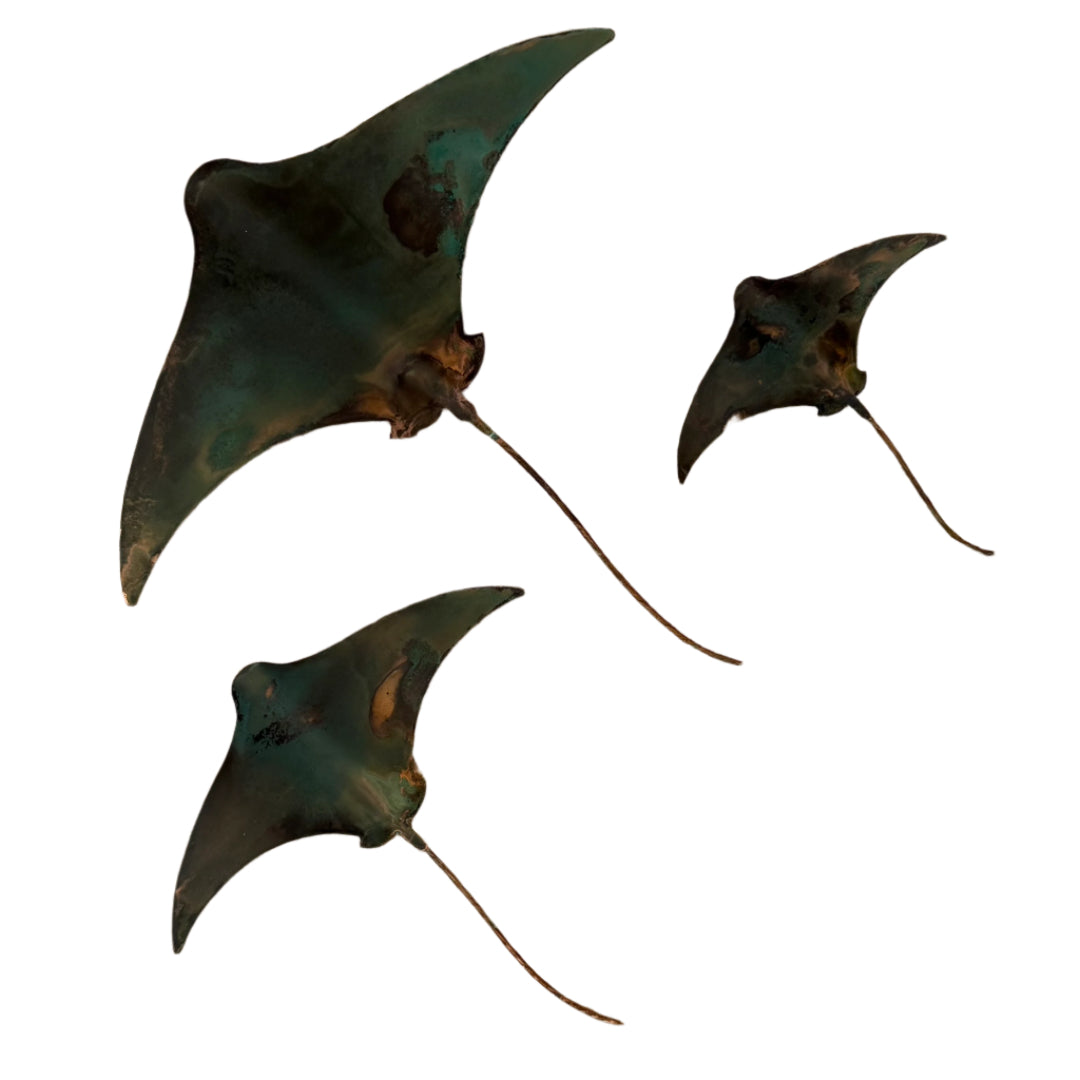 Copper Stingray Trio