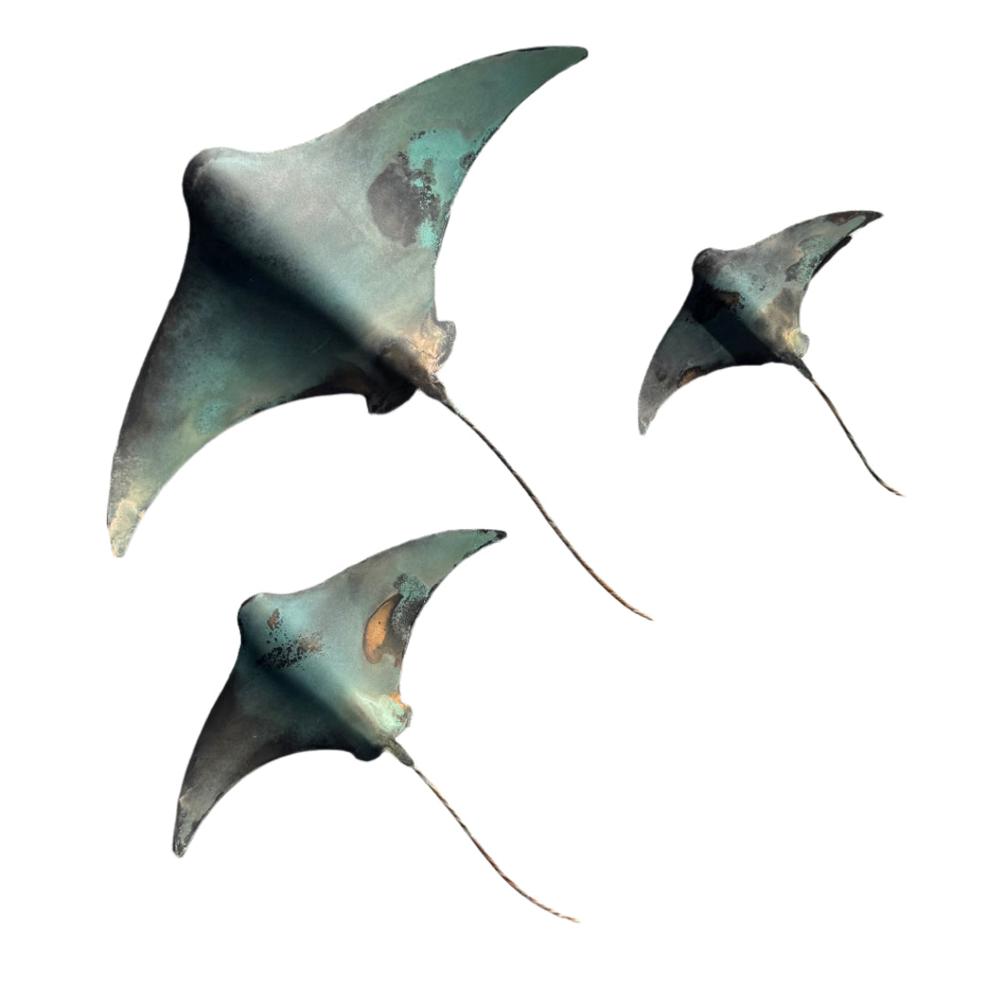Copper Stingray Trio