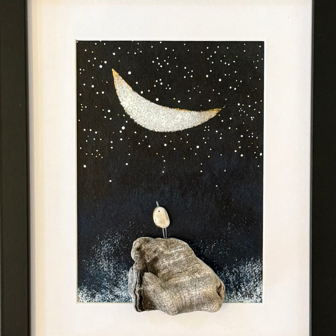 Stargazer
