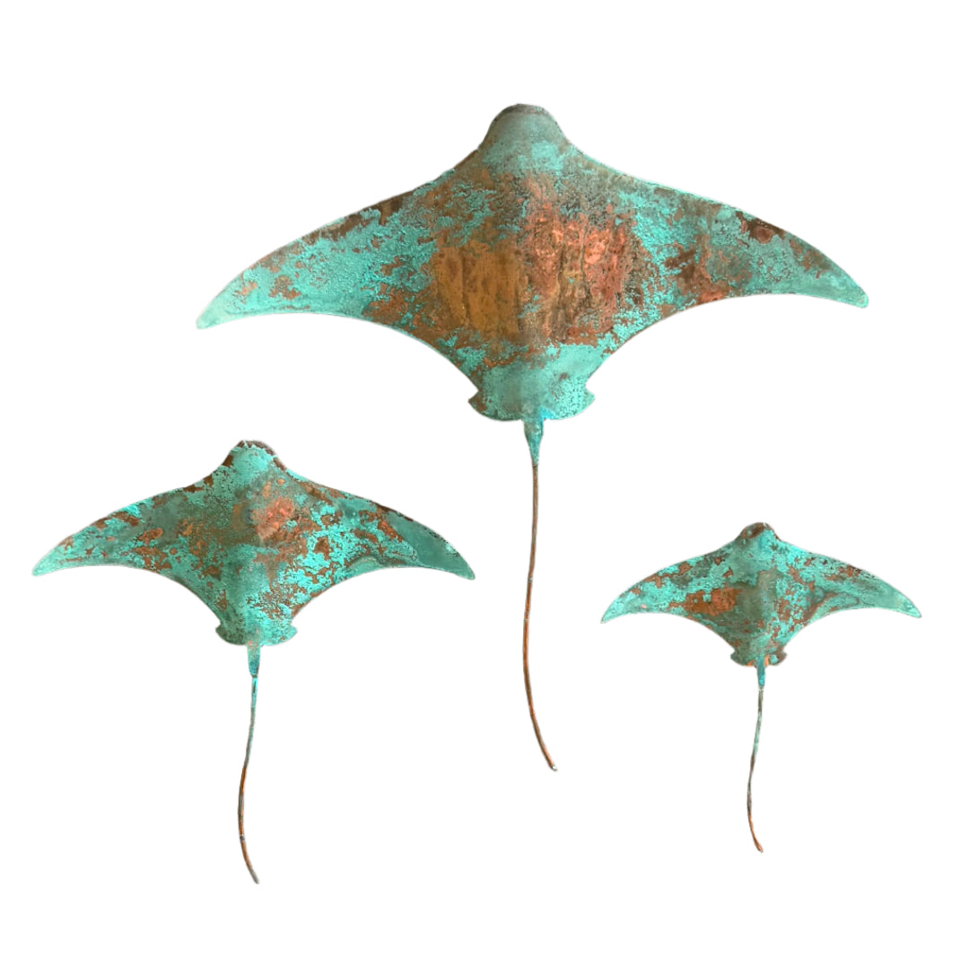 Three greenish-blue copper stingrays on a white surface