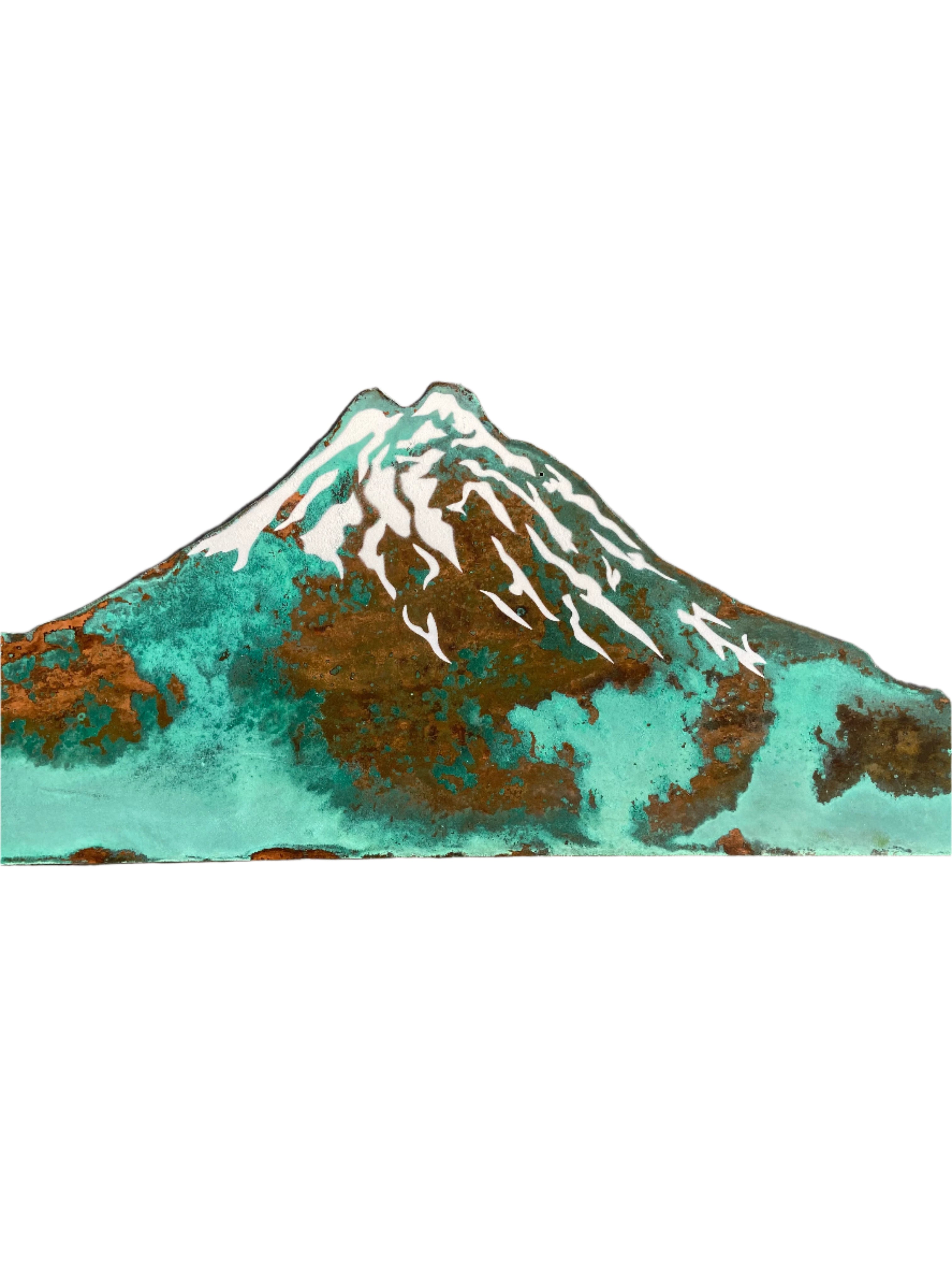 Mt Taranaki In Winter | Large