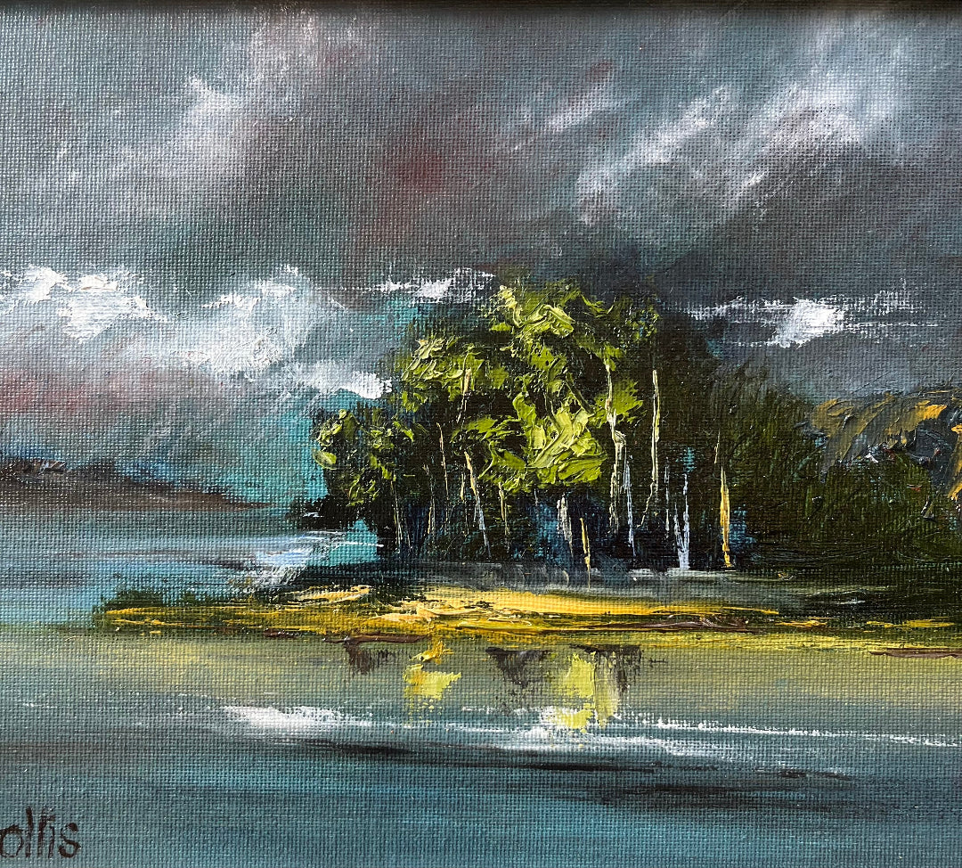 Moonlight on Royal Billy Point