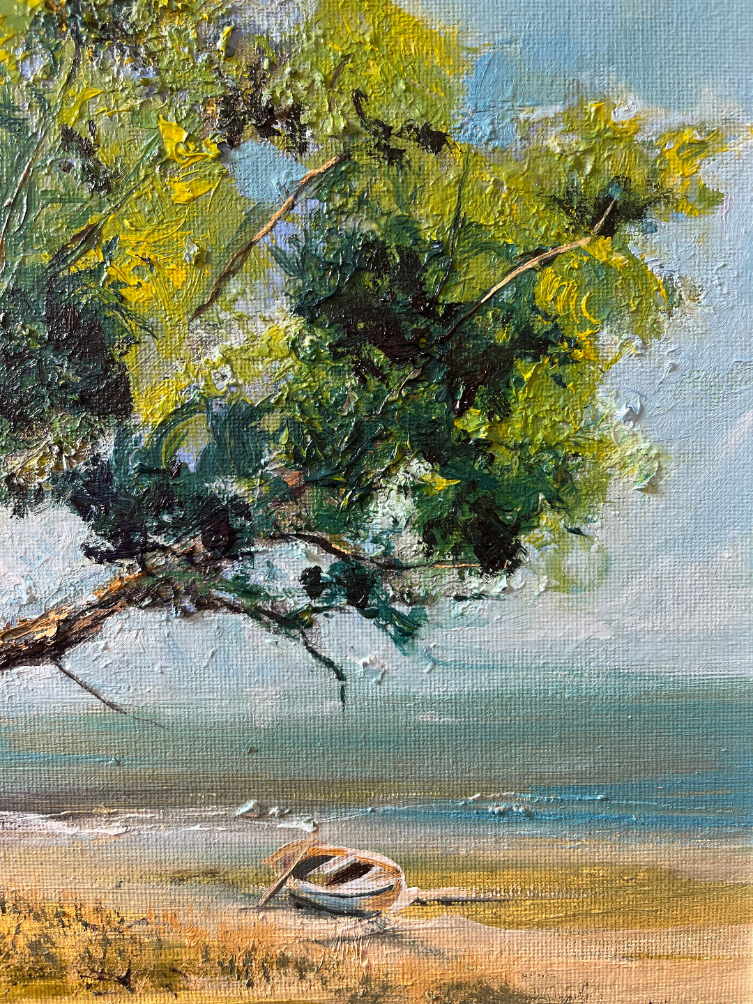 Huia Pohutakawa