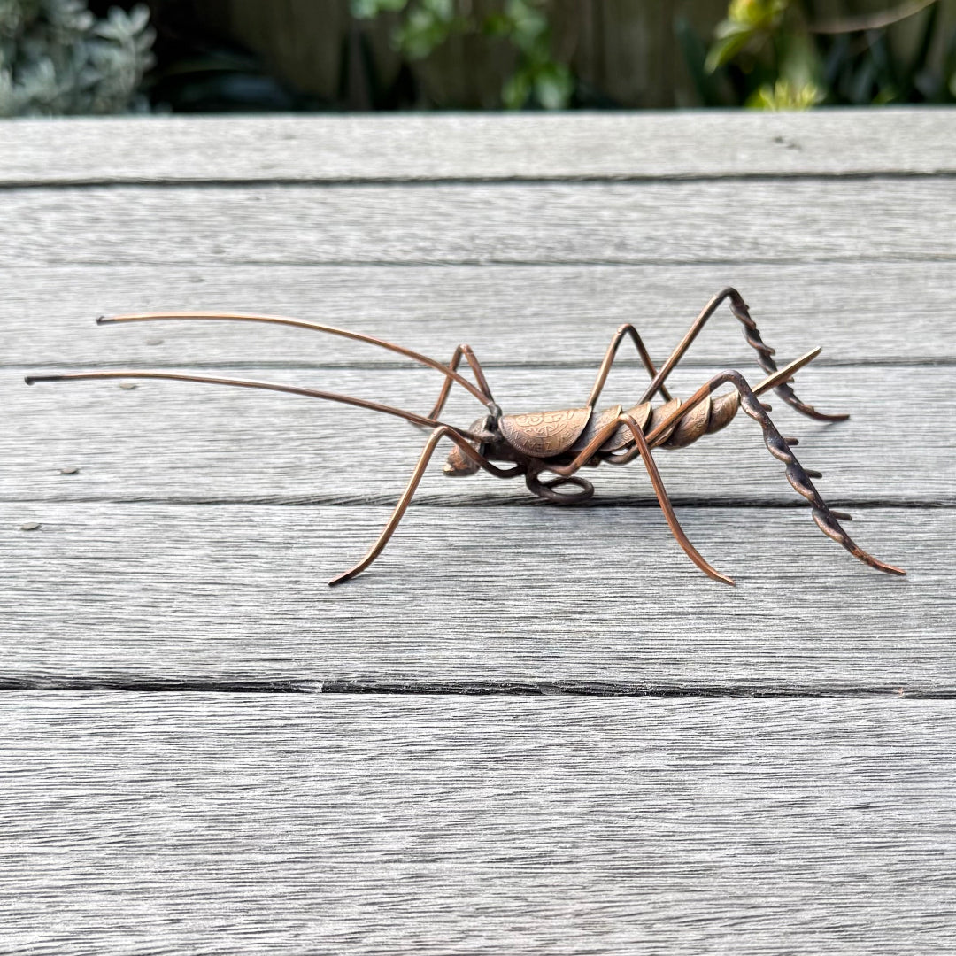 Side view of copper Weta on a wooden surface with blurred greenery in the background