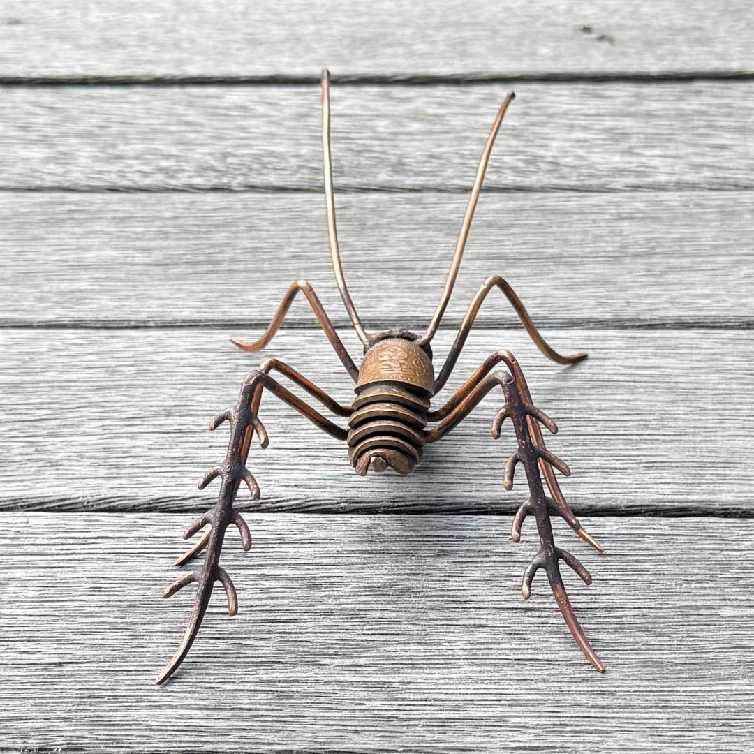 Back view of a copper Weta on a wooden surface