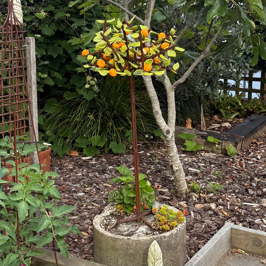 Garden scene with a small ceramic mandarin tree.