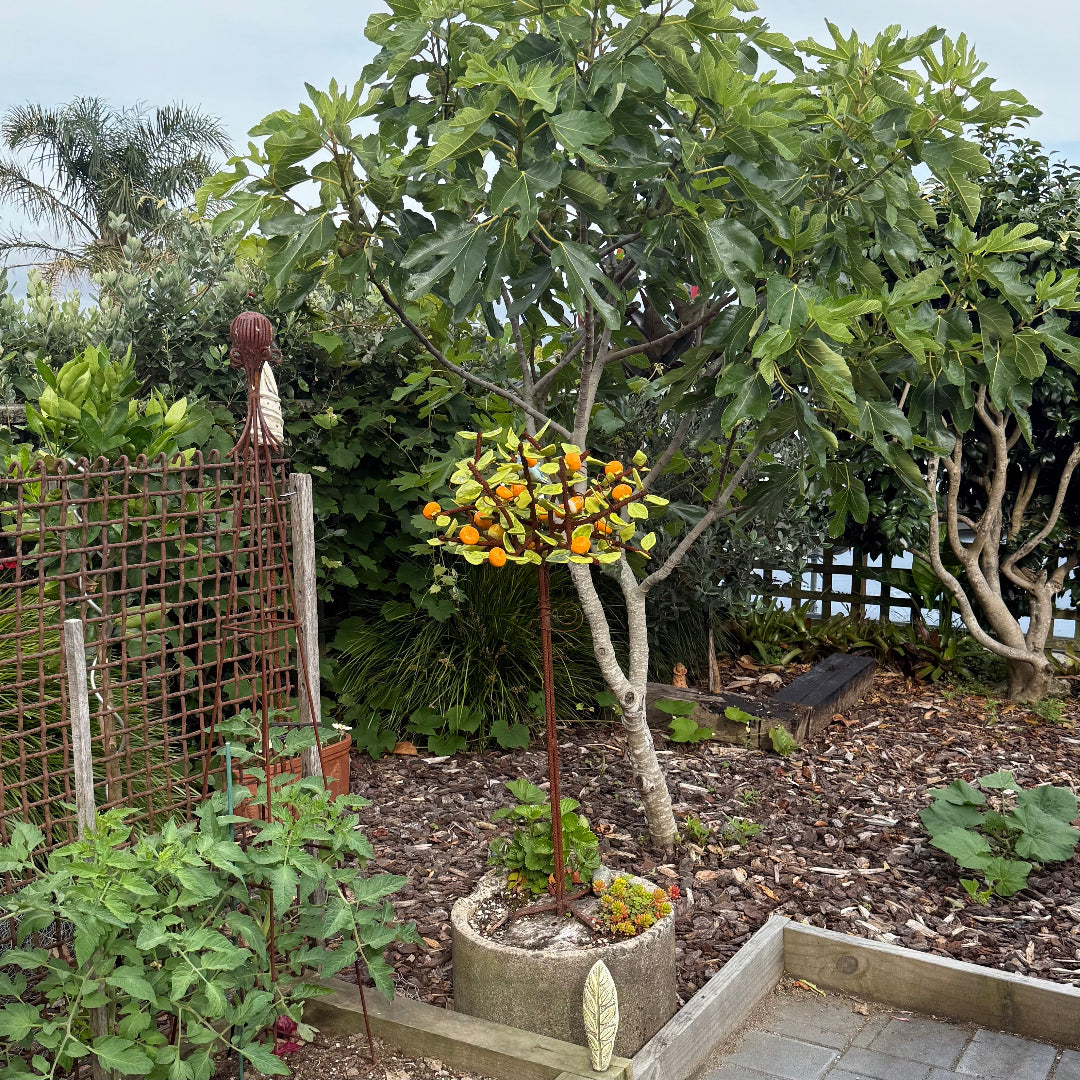Garden scene with a small ceramic mandarin tree.