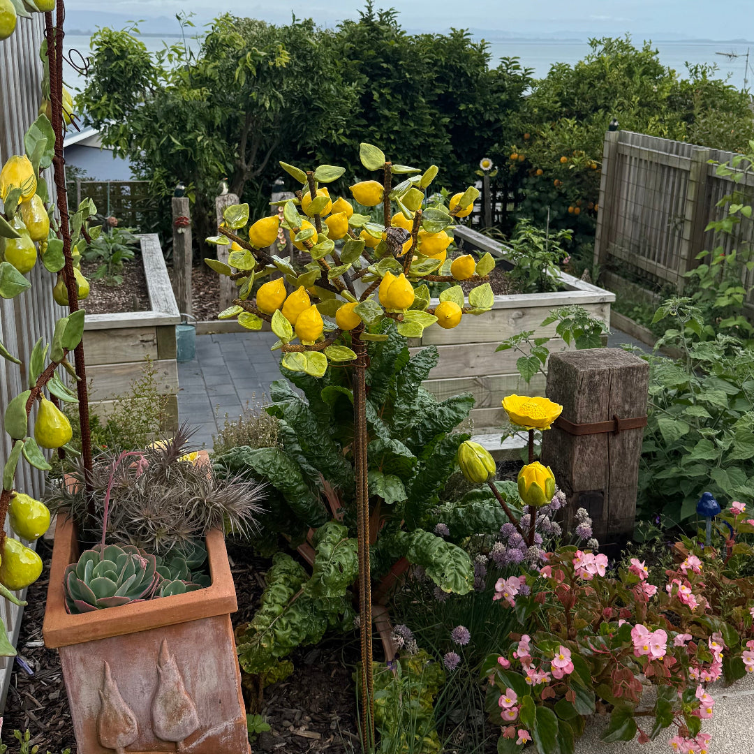 Ceramic lemon tree in garden scene with succulents, and flowers.