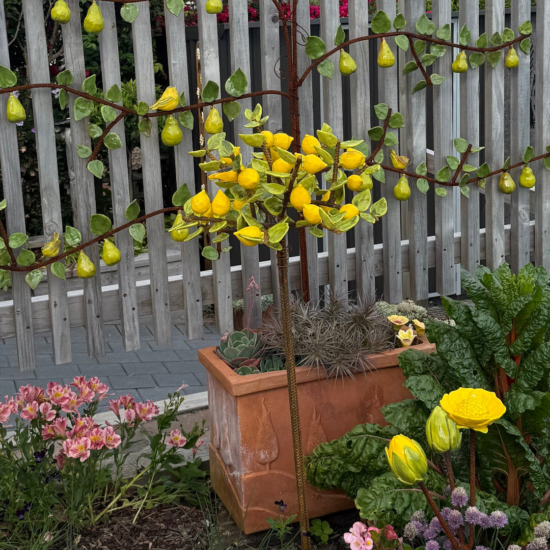 Ceramic lemon tree in garden scene with succulents, and flowers.