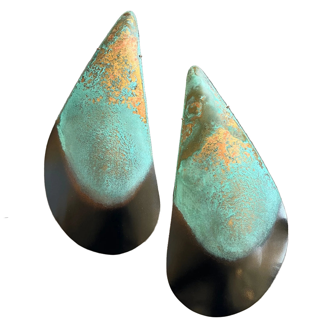 Mussel Shell  Pair | Small