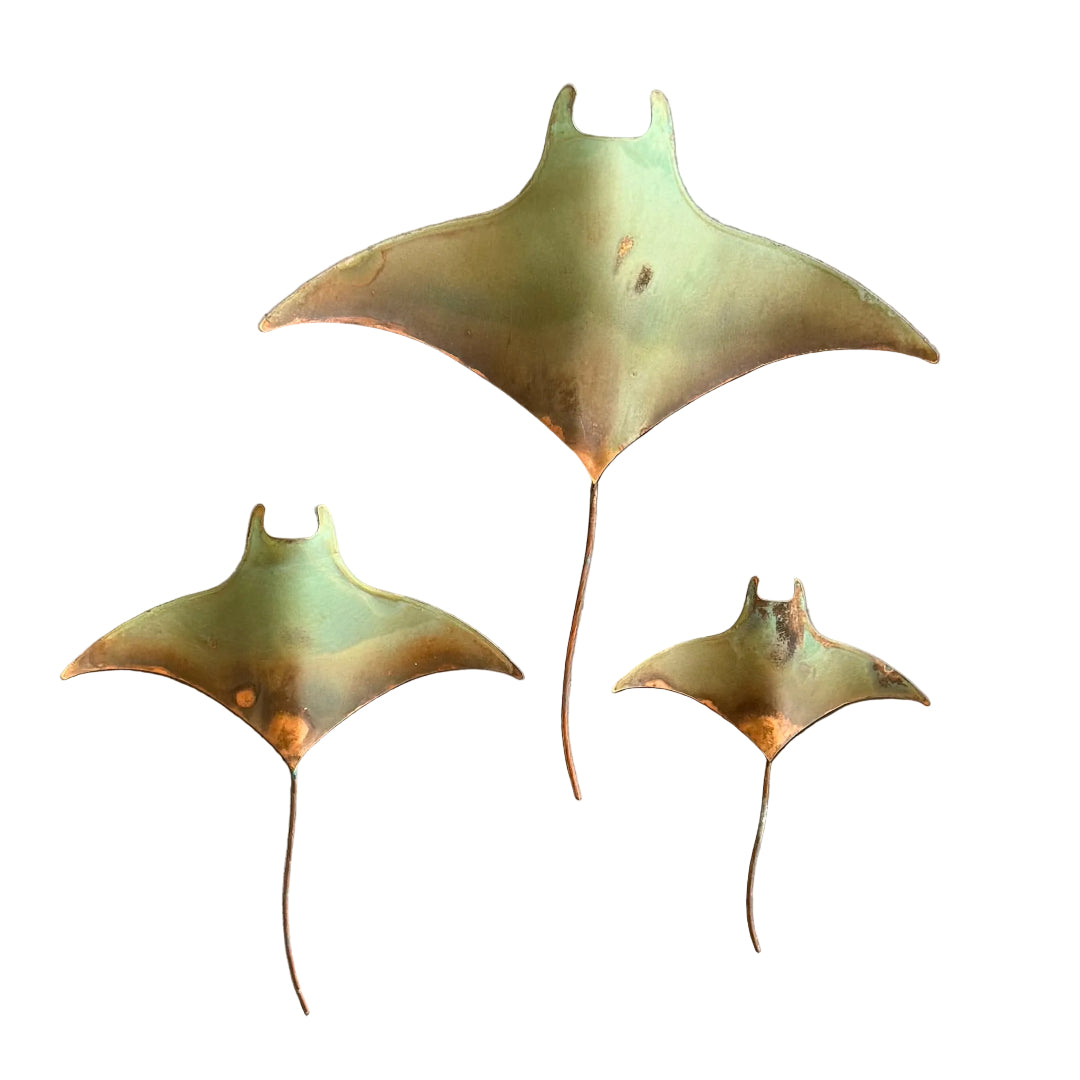 Three copper manta rays on a white surface