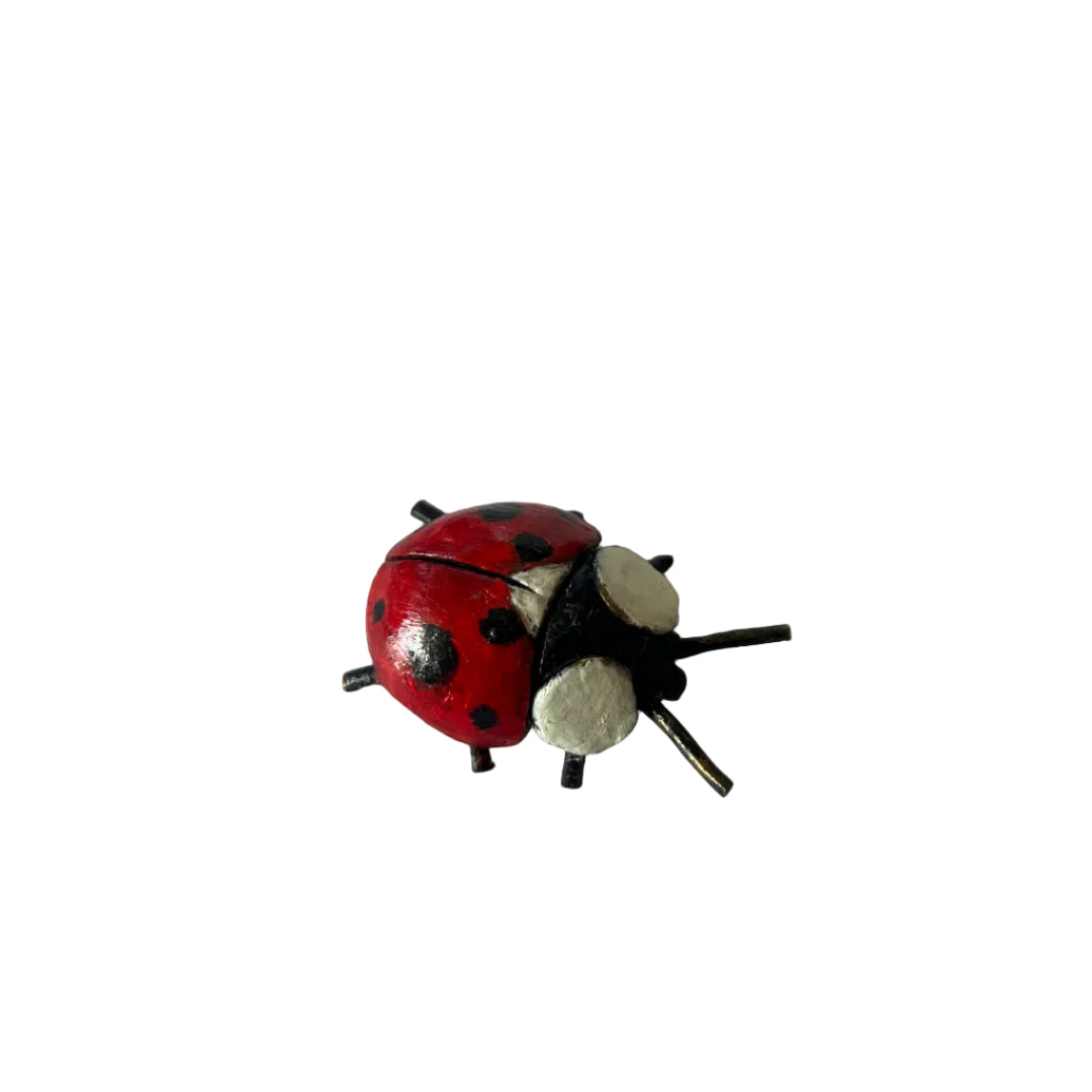 Bronze Ladybird