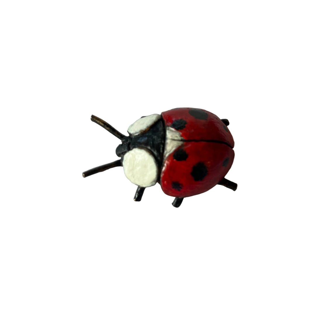 Bronze Ladybird