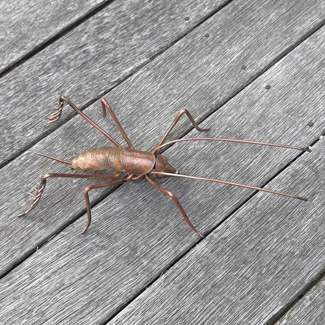 Copper Weta sculpture on a wooden surface