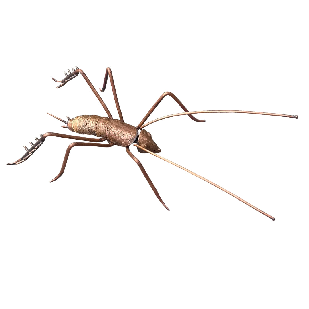 Copper Weta on a white surface