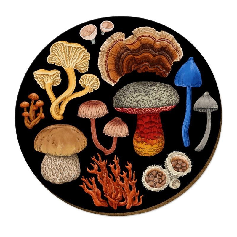 NZ Fungi Placemats