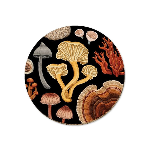 NZ Fungi Coasters