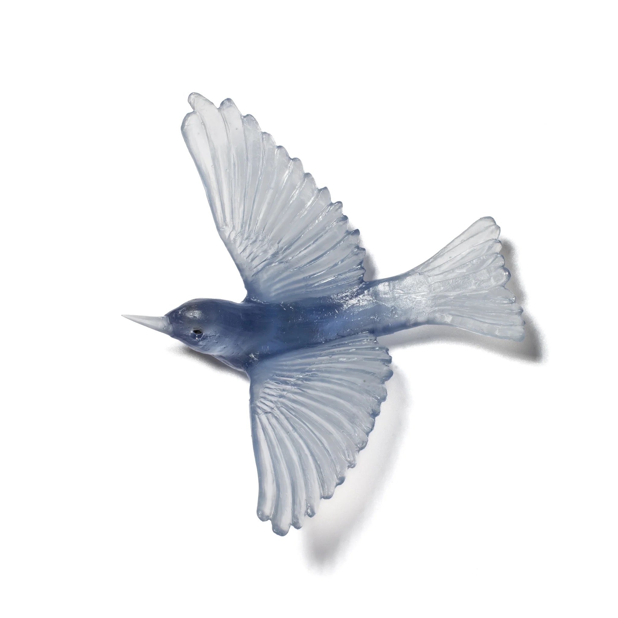 Glass Silvereye