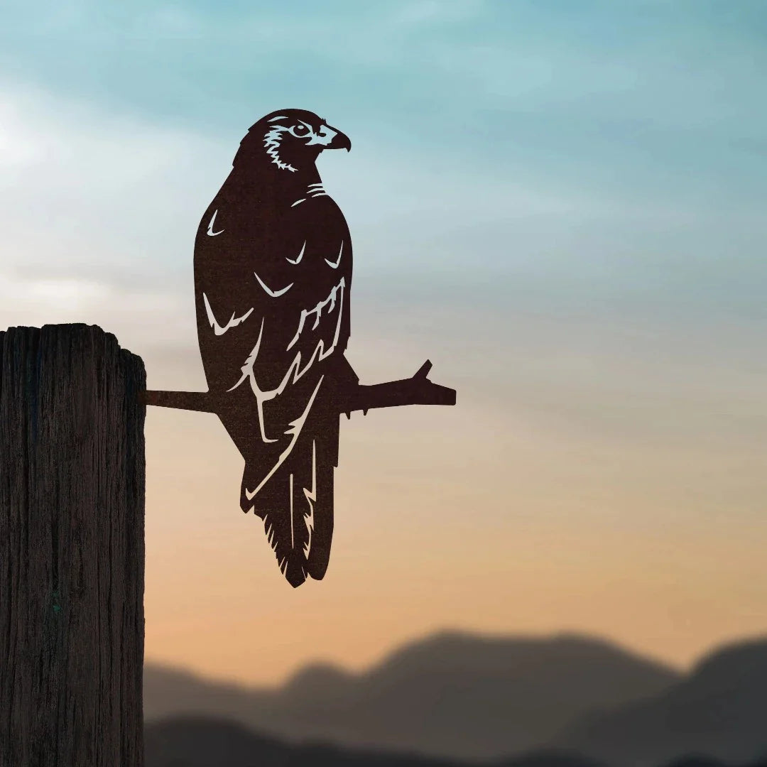 Kāhu or Harrier Hawk Metal Bird Silhouette garden art by Metalbird