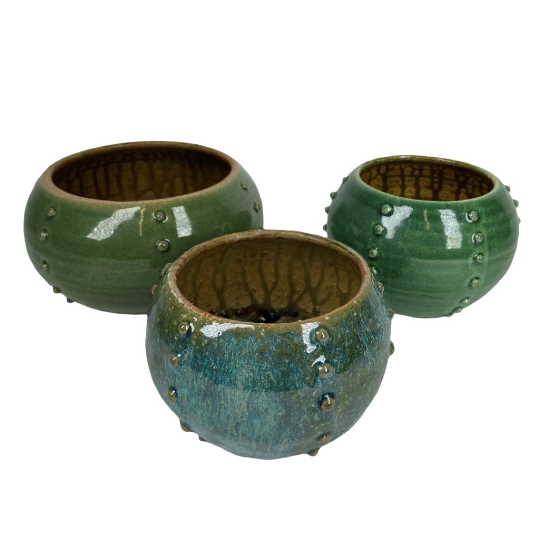 Kina Bowls