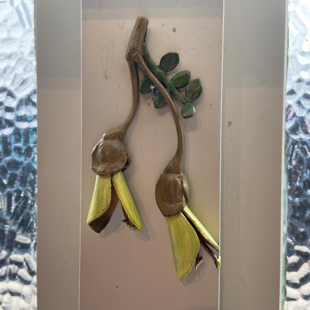 Bronze Kowhai Flowers