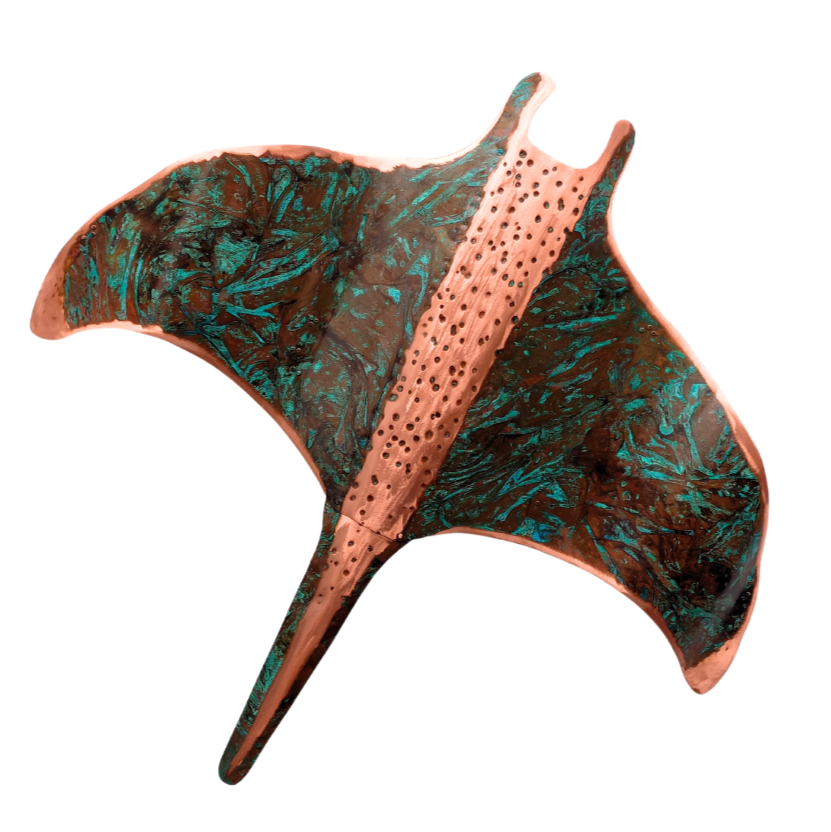 Giant Manta Ray
