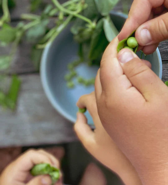 Revive Horopito, Cucumber & Mint Hand Wash