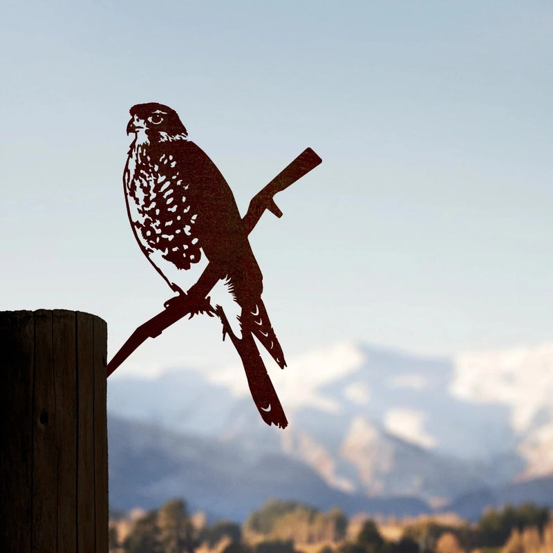 Karearea | New Zealand Falcon Metalbird