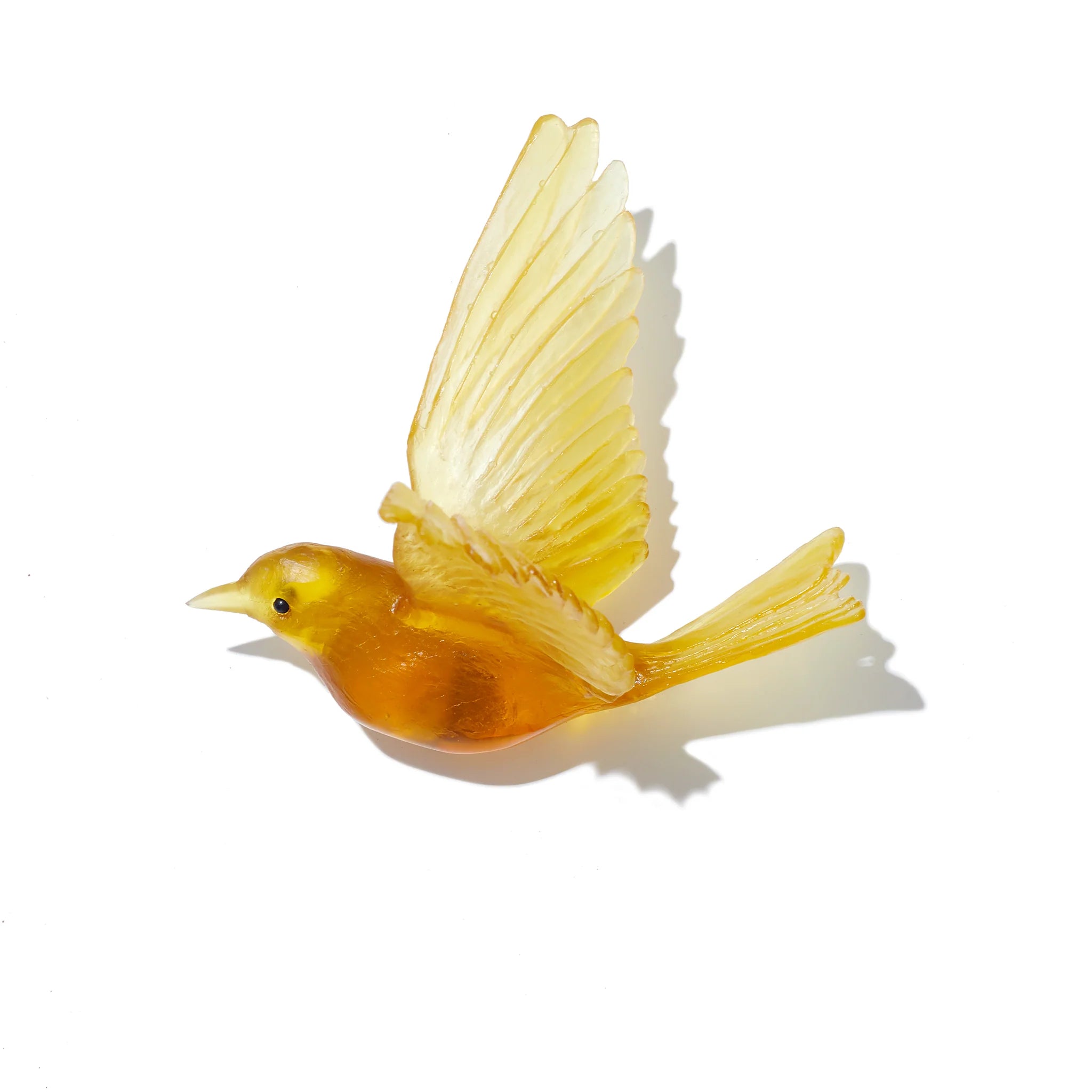 Glass Stitchbird