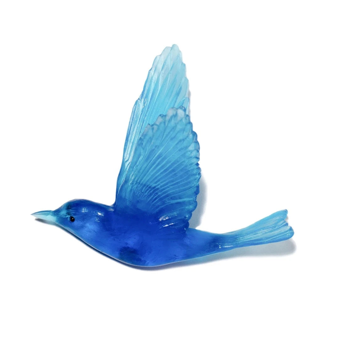 Shining Cuckoo