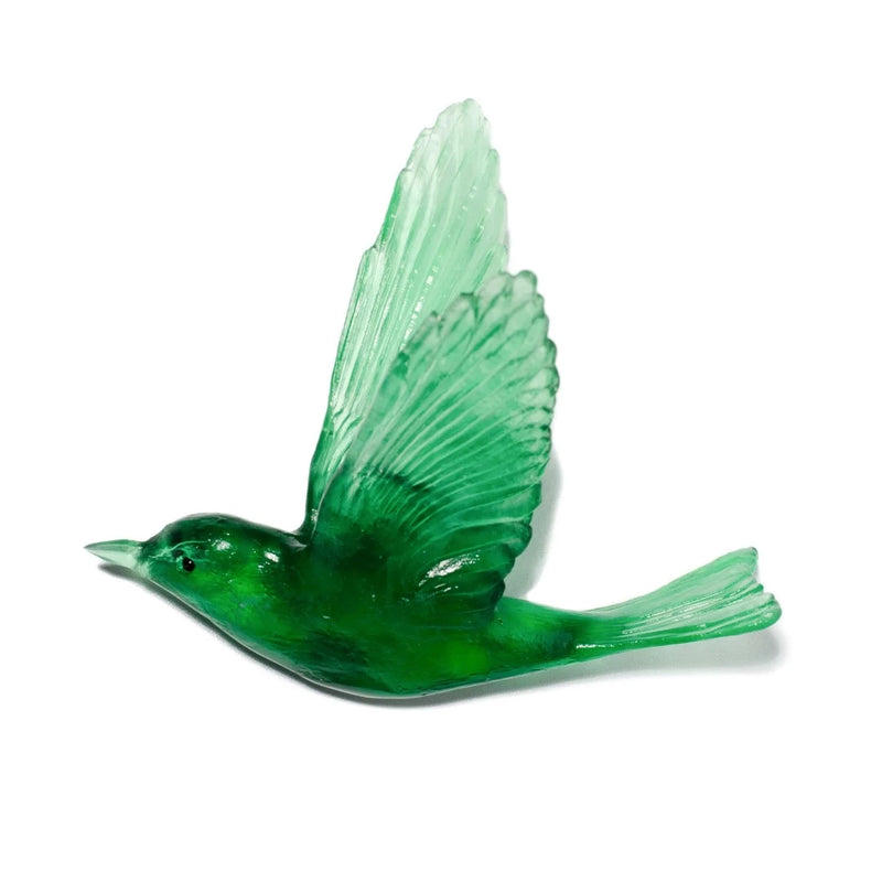 Shining Cuckoo