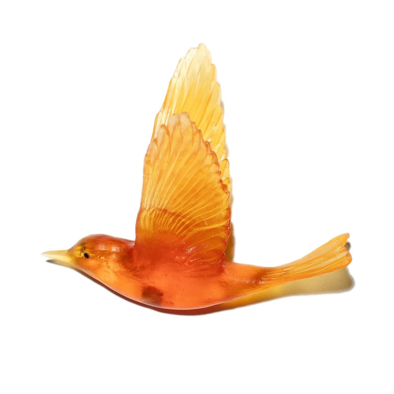 Shining Cuckoo