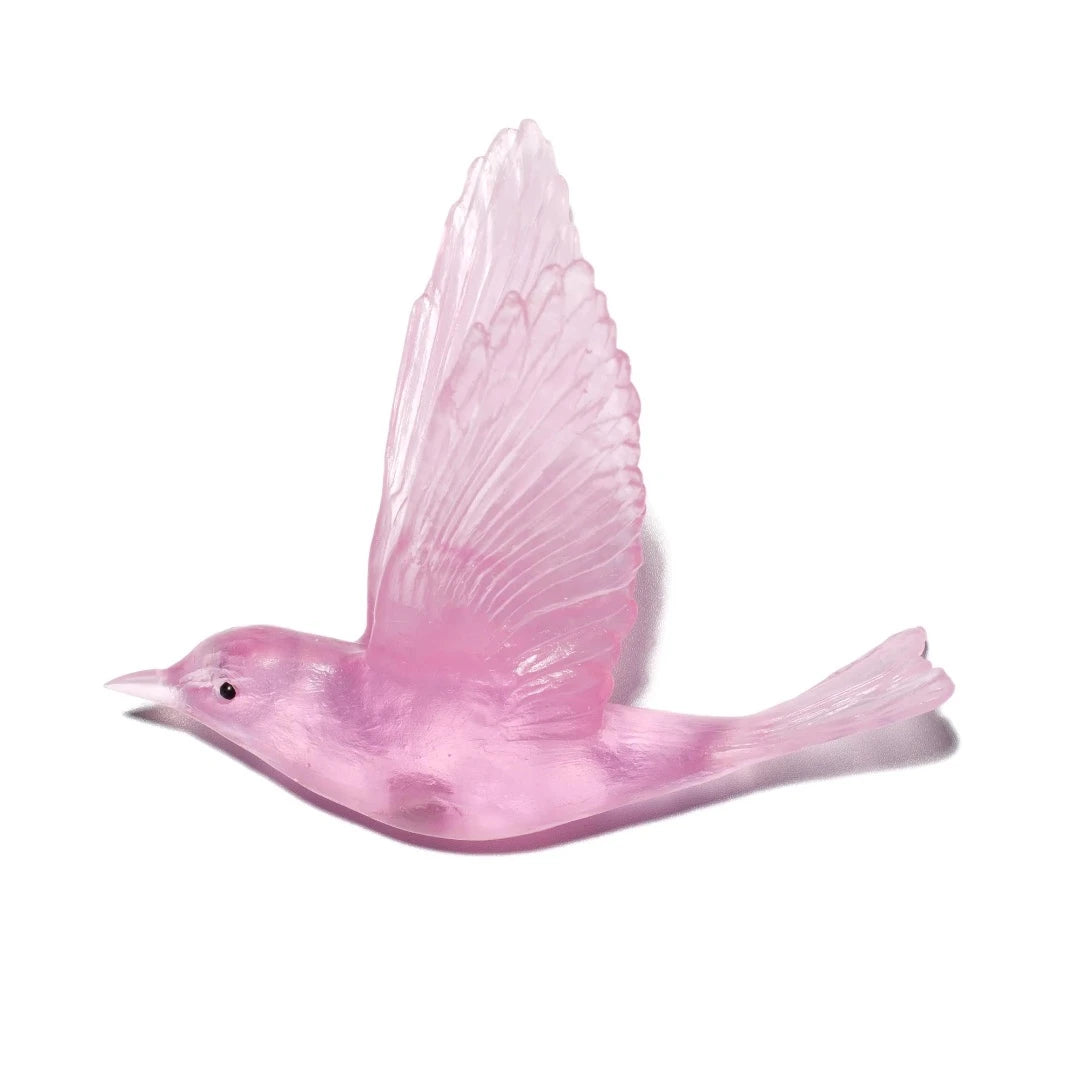Shining Cuckoo