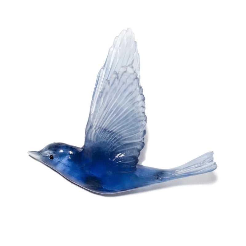 Shining Cuckoo
