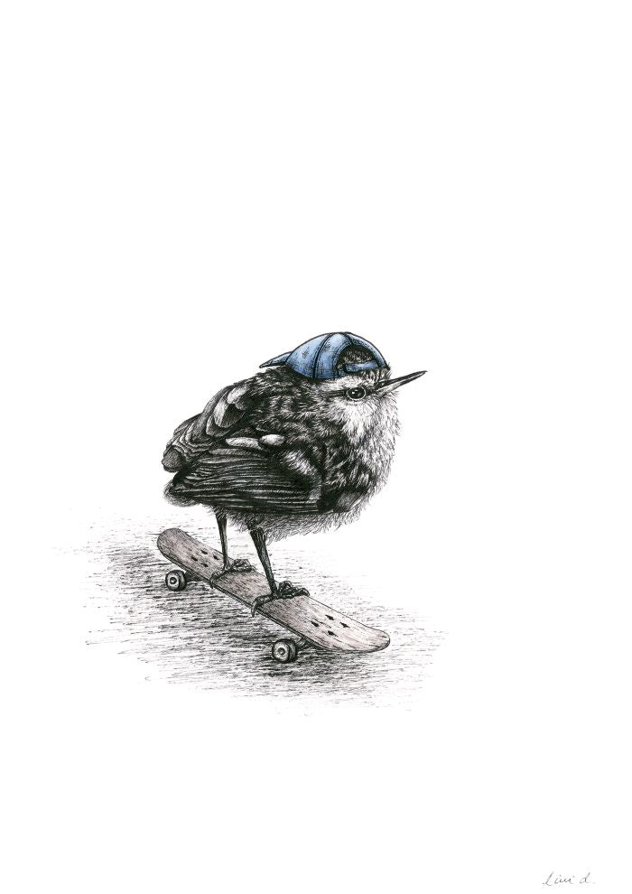 Limited Edition Bird Sketches By Artist Olivia Wirepu aka Livi D.