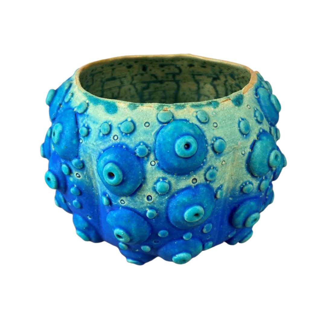 Sputnik Sea Urchin Bowl