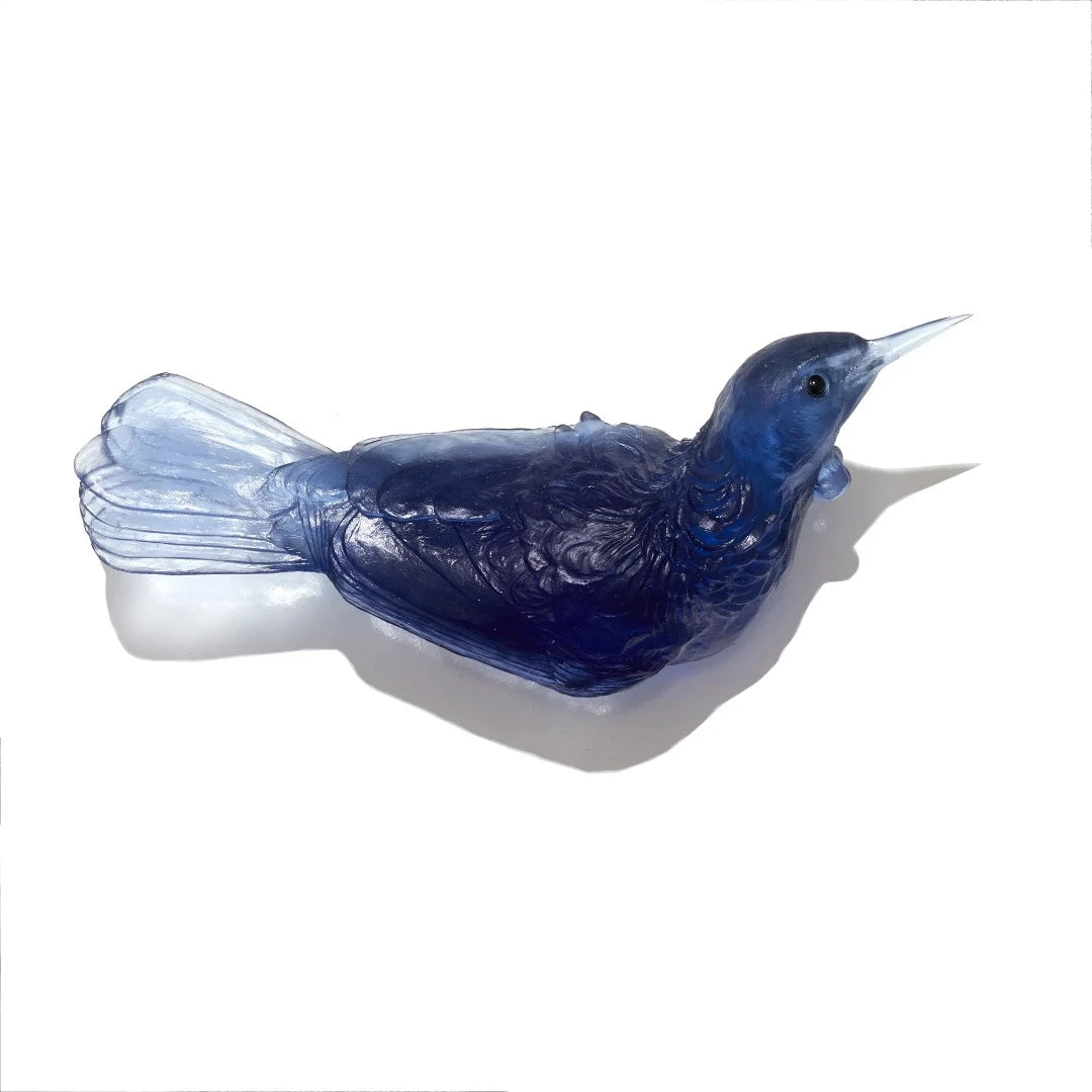 Glass Tui