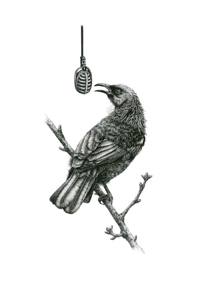 Bird Sketches Limited Edition Series