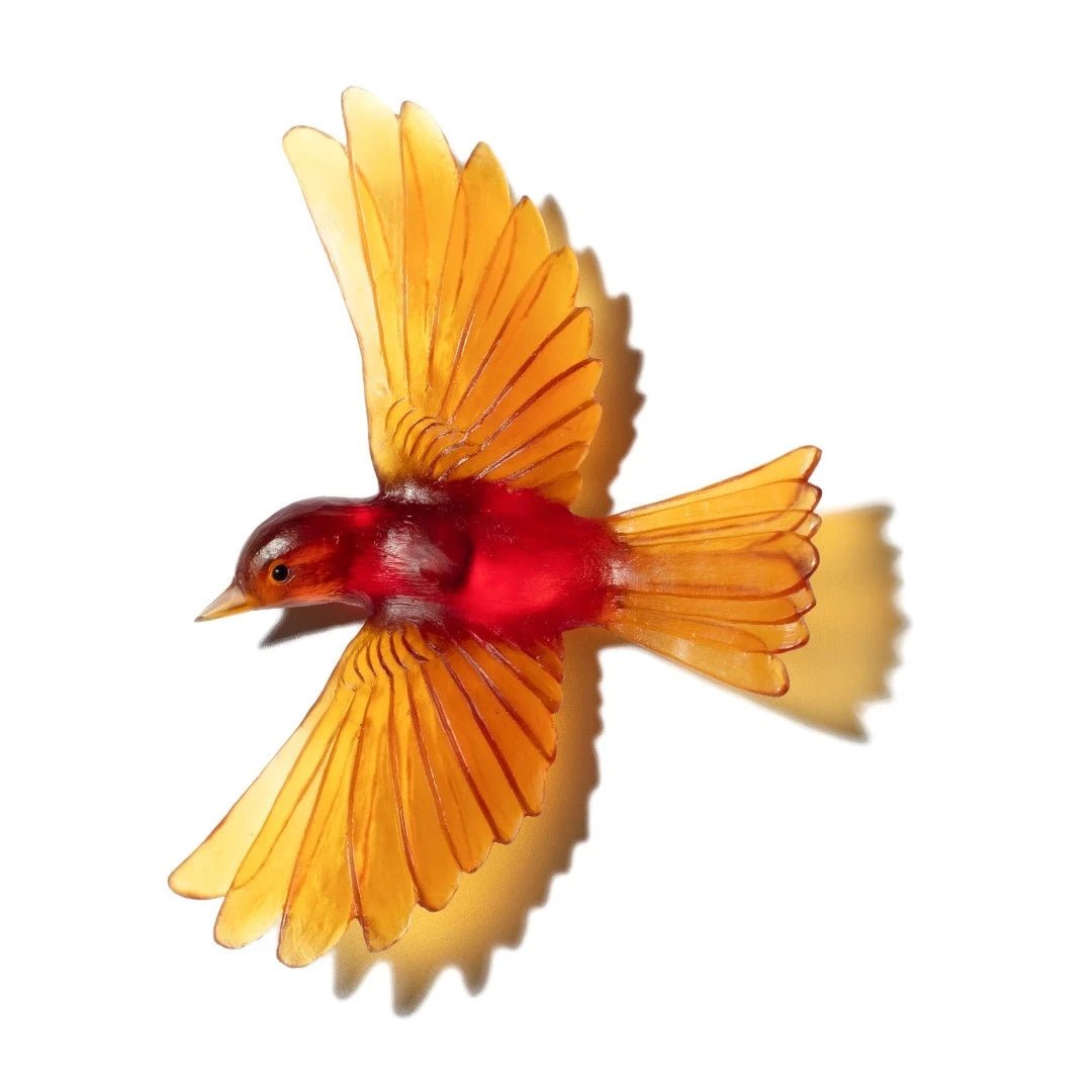 Glass Yellowhead
