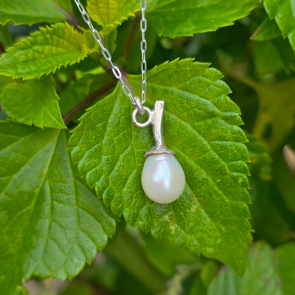 A silver pendant necklace featuring a teardrop-shaped white pearl, hanging from a leafy green plant.