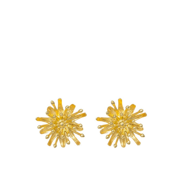 Mt Cook Lily Stud Earrings 22ct Gold Plate