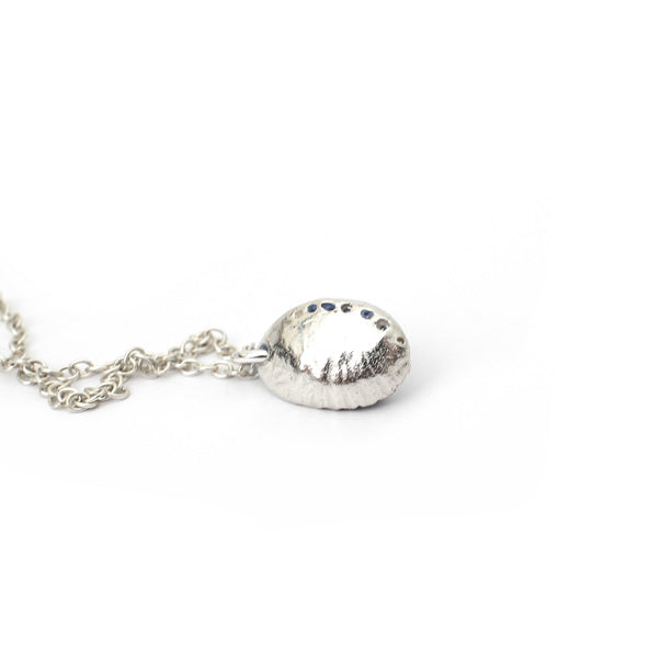 Paua Shell Earrings & Necklace