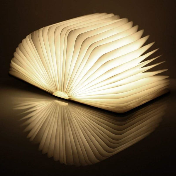 Smart Mini Book Light LED
