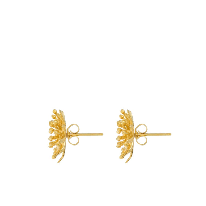 Mt Cook Lily Stud Earrings 22ct Gold Plate
