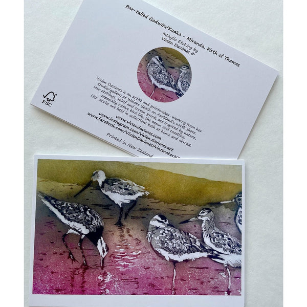 Bar-tailed Godwits Pink Card