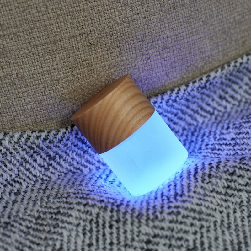 Lemelia LED Light