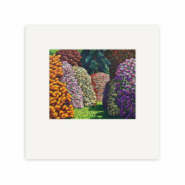Cambridge | Karl Maughan Print